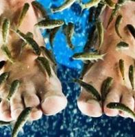 Терапия с Гарра Руфа рыбками для ног и рук на двоих